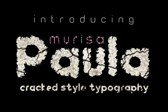 Boost Your Campaign with the Murisa Paula Display Font